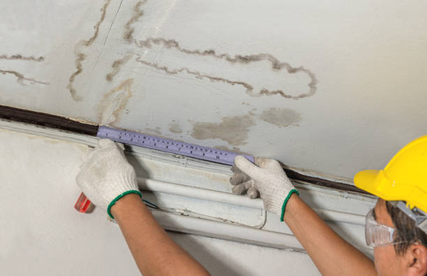 Reliable Mold Remediation contractor in Lyme, NH by Water Damage Irwin